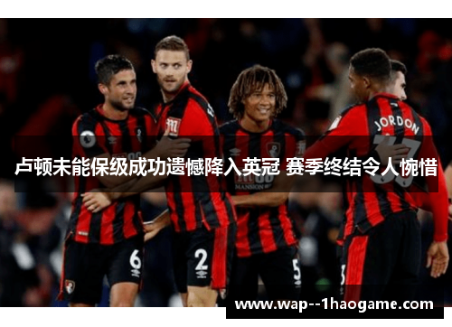 卢顿未能保级成功遗憾降入英冠 赛季终结令人惋惜 卢顿未能保级成功遗憾降入英冠 赛季终结令人惋惜