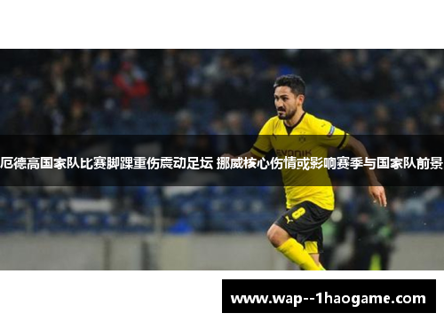 厄德高国家队比赛脚踝重伤震动足坛 挪威核心伤情或影响赛季与国家队前景