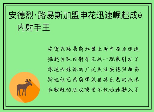 安德烈·路易斯加盟申花迅速崛起成队内射手王