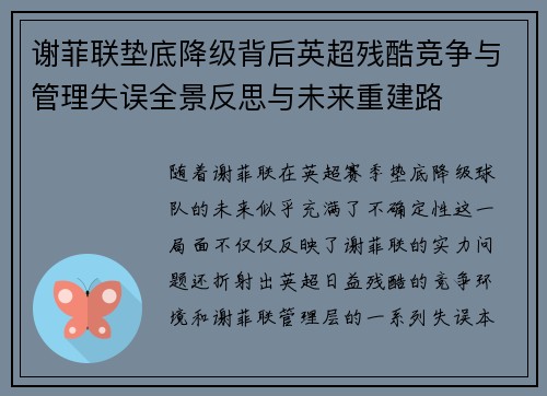 谢菲联垫底降级背后英超残酷竞争与管理失误全景反思与未来重建路 谢菲联垫底降级背后英超残酷竞争与管理失误全景反思与未来重建路