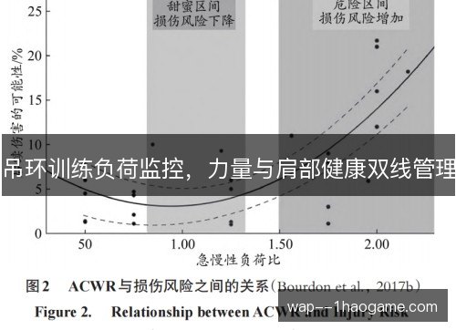 吊环训练负荷监控，力量与肩部健康双线管理